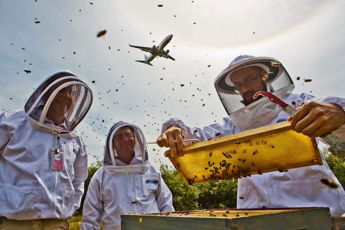 Hives and Jets